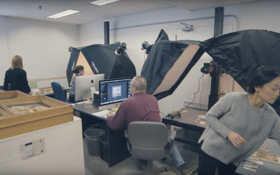 The Smithsonian uses DT Element for a mass fossil digitization project.